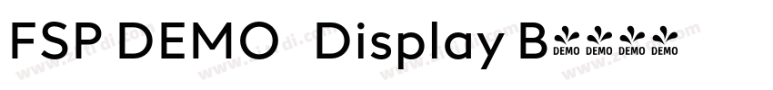 FSP DEMO   Display B字体转换